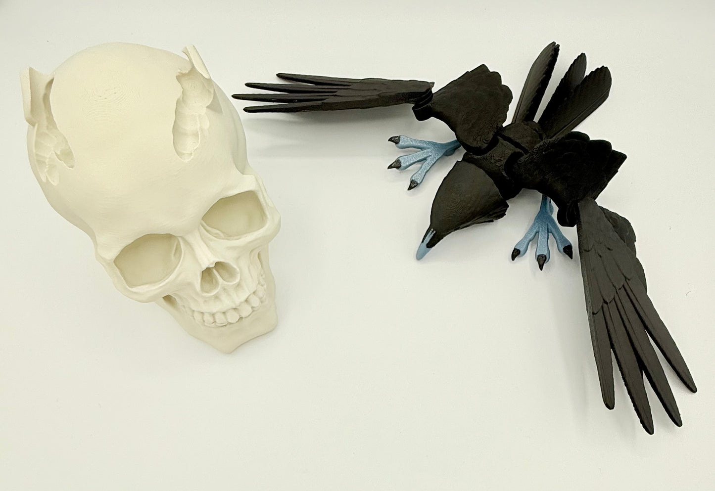 Articulating Raven with skull