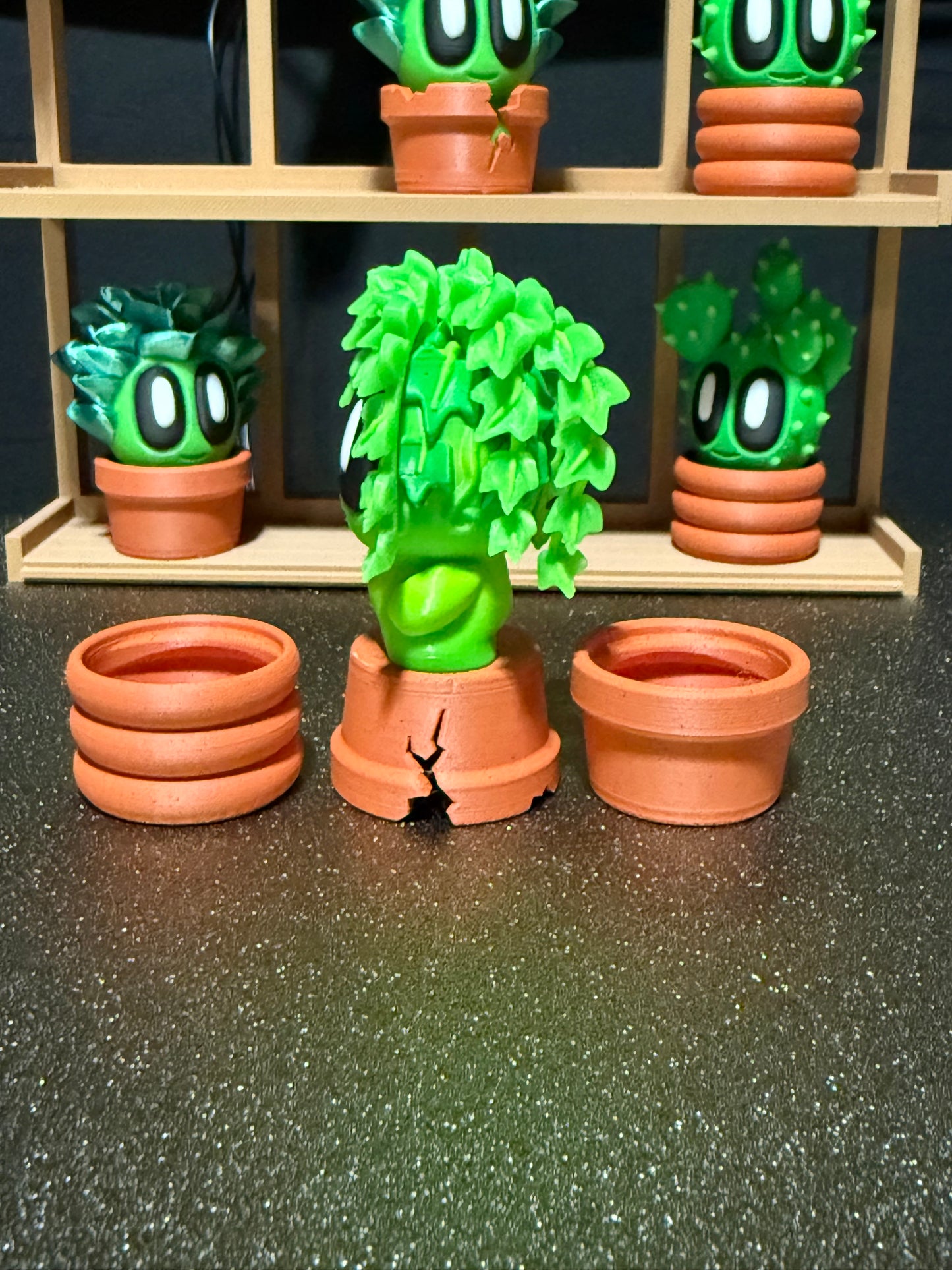 Ivy cactus plant with 3 kinds of pots