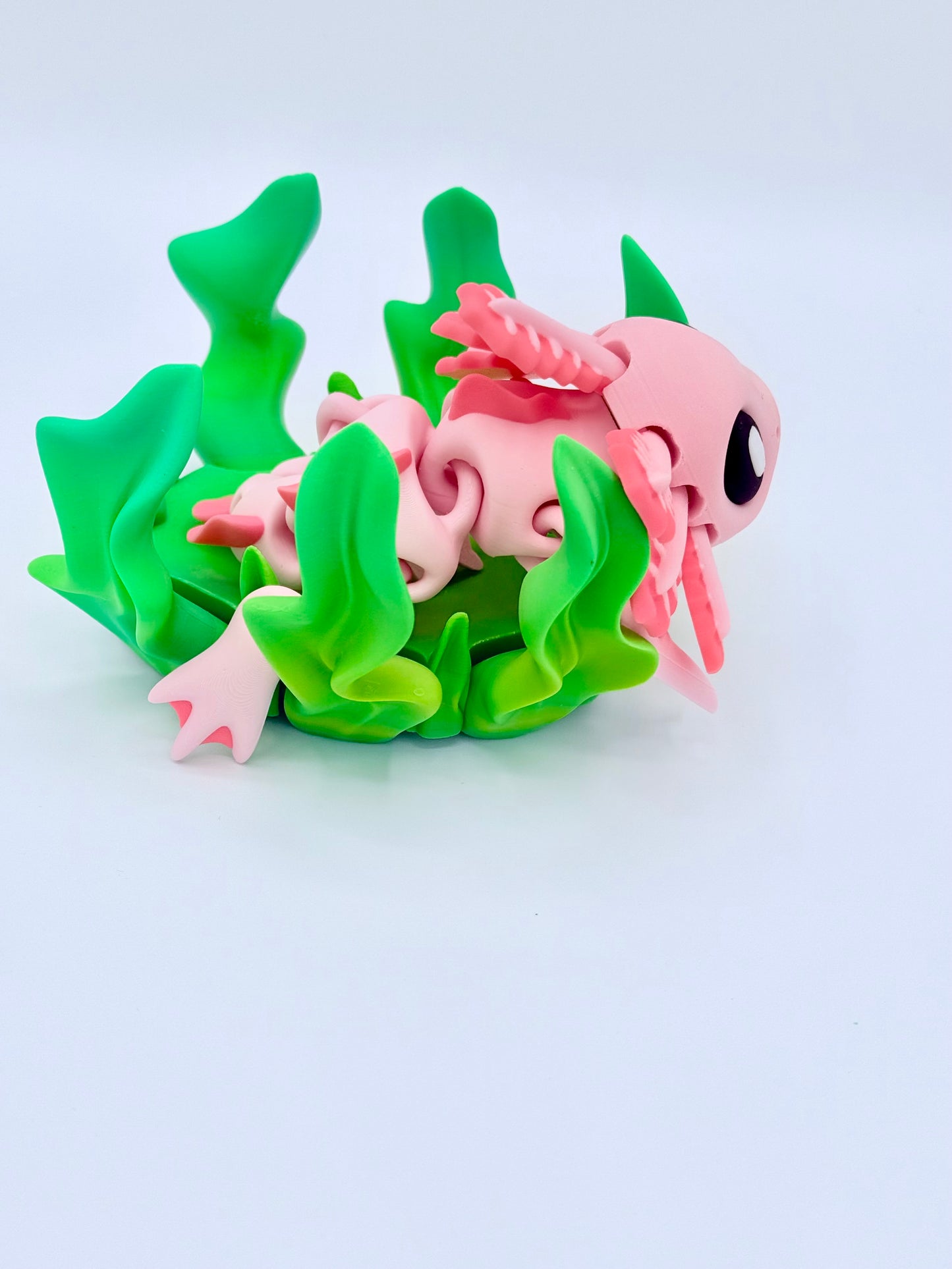 Axolotl with seaweed bed.