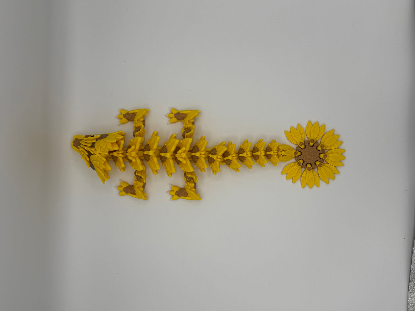 Sunflower dragon