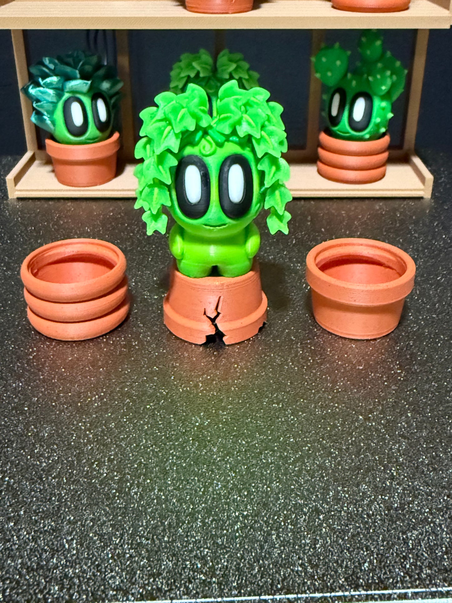 Ivy cactus plant with 3 kinds of pots