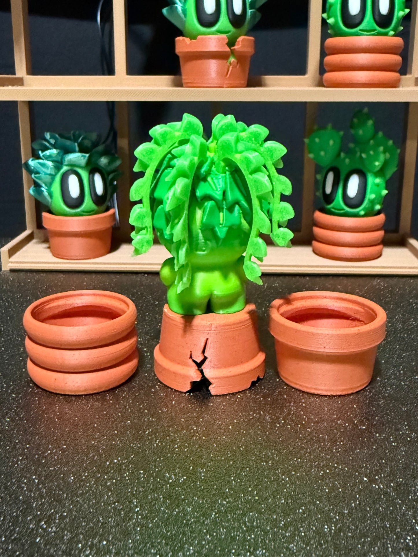 Ivy cactus plant with 3 kinds of pots