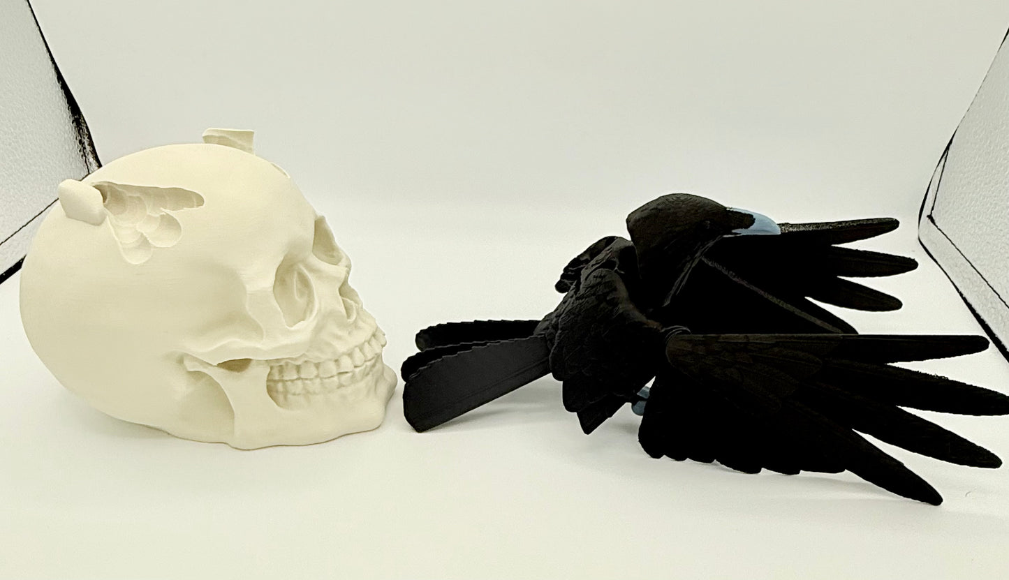Articulating Raven with skull
