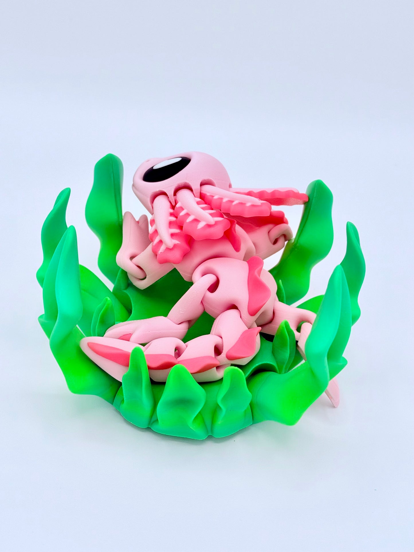 Axolotl with seaweed bed.