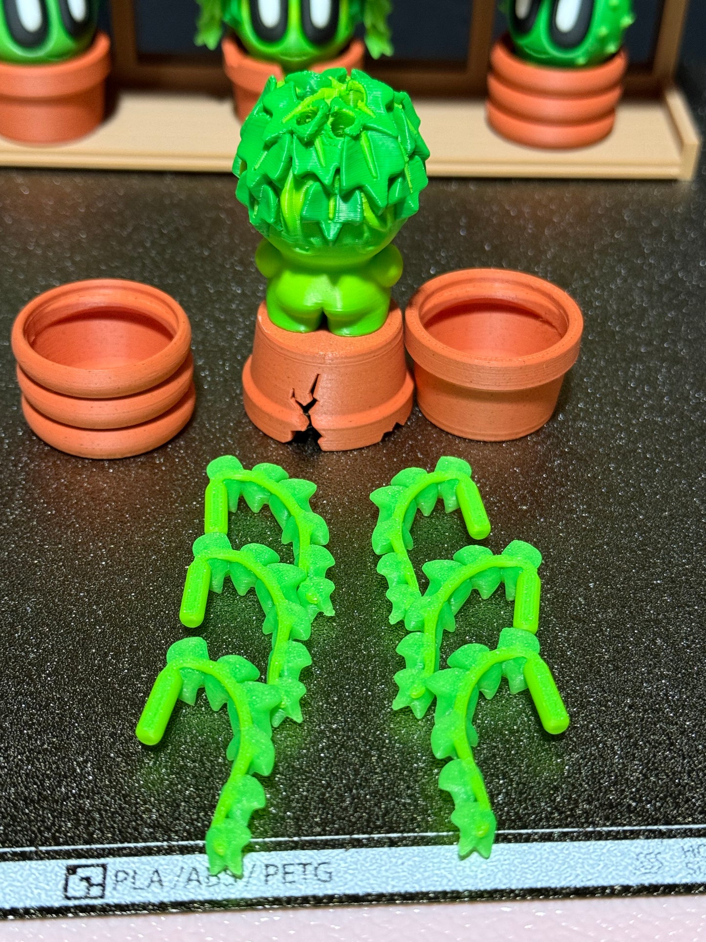 Ivy cactus plant with 3 kinds of pots