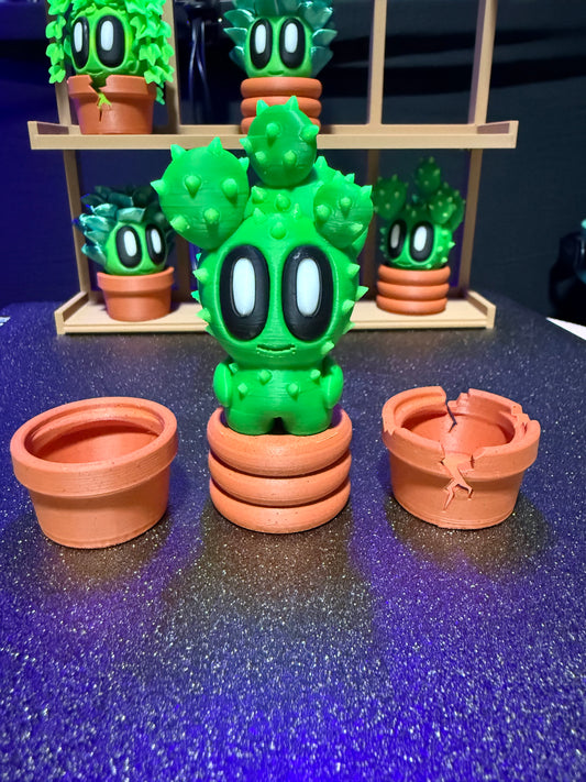 Prickly pear cactus plant with pots