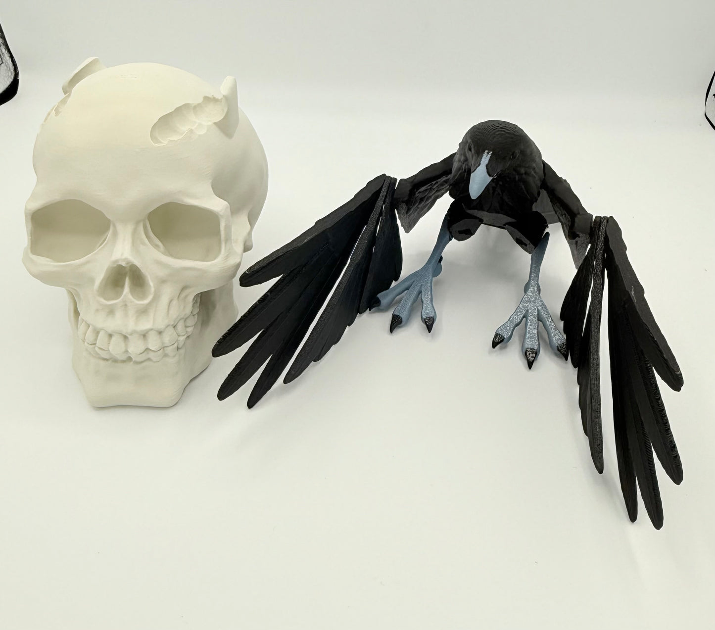 Articulating Raven with skull