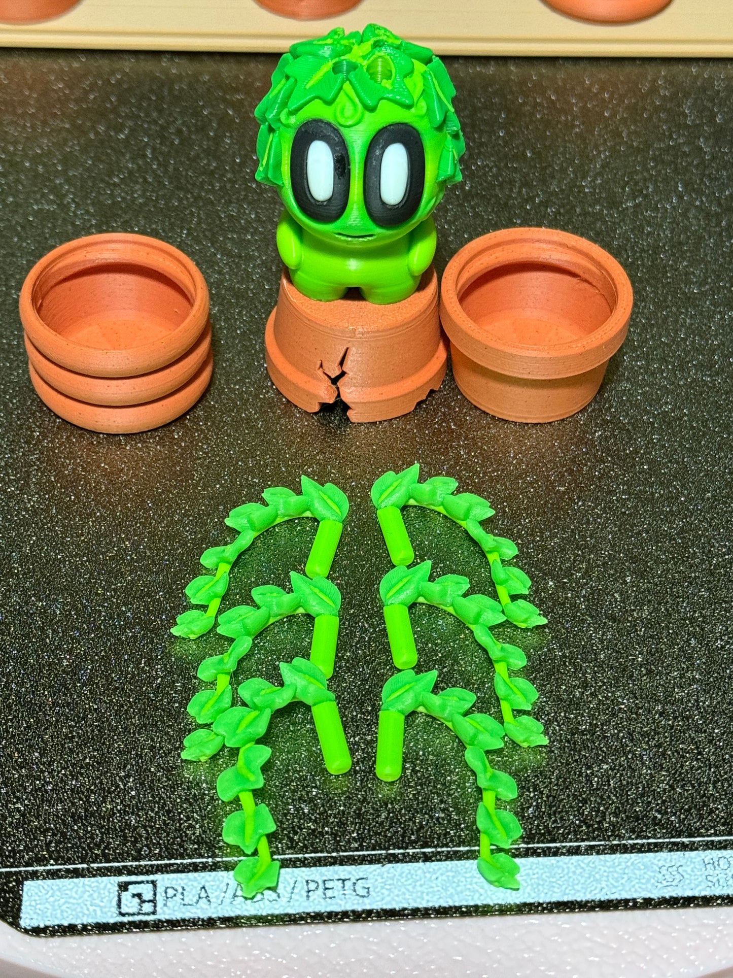 Ivy cactus plant with 3 kinds of pots