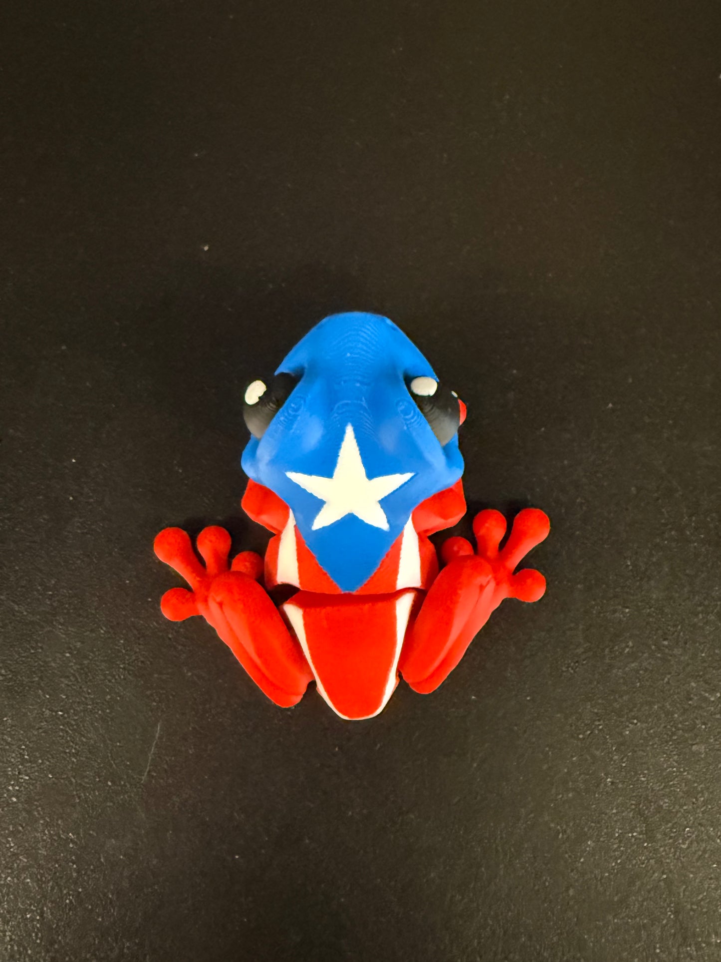 Puerto Rican tree frog, also known as the coquí